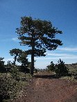 Rifugio_monte_Palestra - 20100509 086.jpg